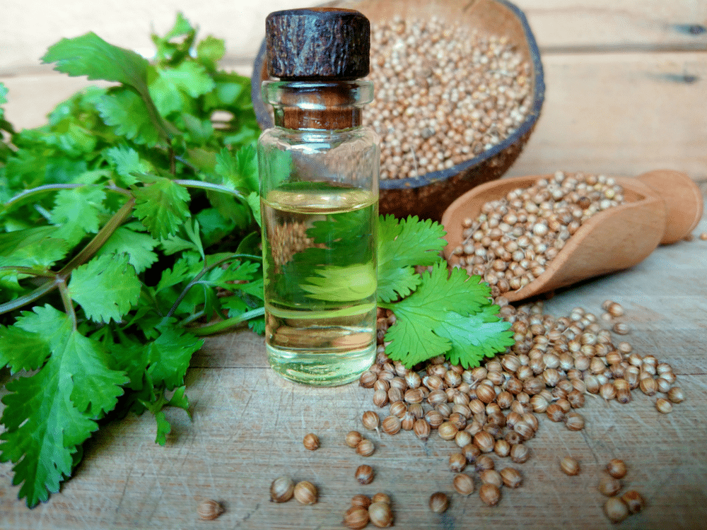 CORIANDER-HEALTHGREY-Remedies for sore throat