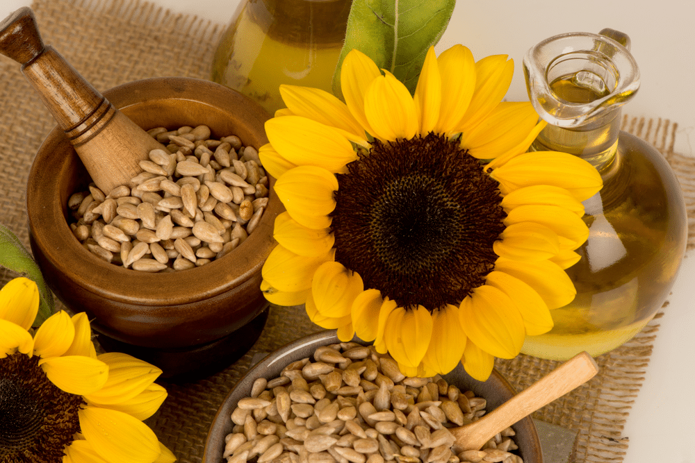 Sunflower Seed Oil