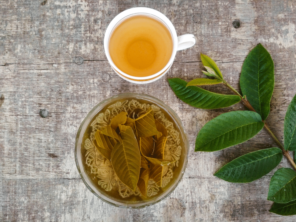 green Guava leaves and tea