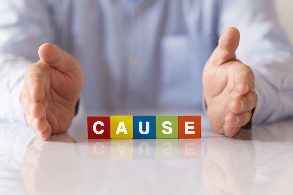 CAUSES
