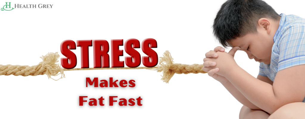 Stress makes fat fast