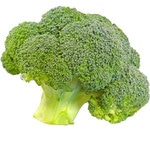 Broccoli white background