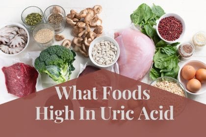 What foods are high in uric acid and purine rich foods