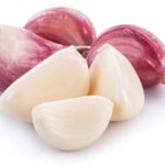 garlic pieces