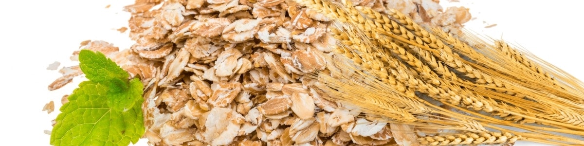Oatmeal high carb foods low fat